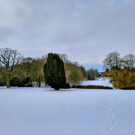 Saebygaard Estate Frühstückspension