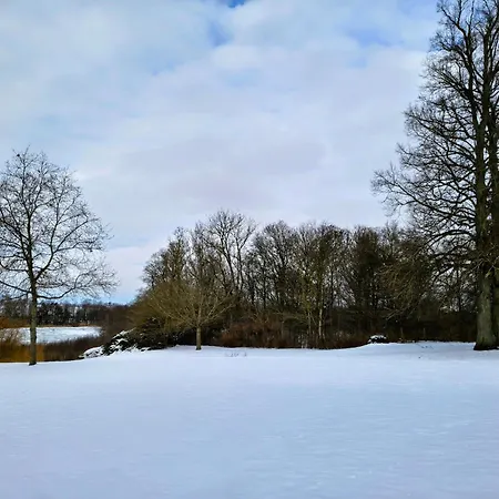 Saebygaard Estate Frühstückspension