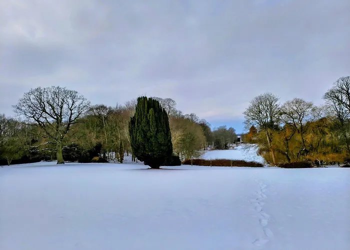 Saebygaard Estate Bed & Breakfast