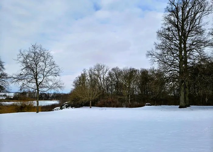 Saebygaard Estate Nocleg ze śniadaniem